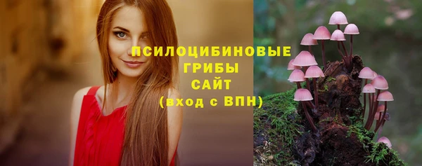 мяу мяу мука Гусь-Хрустальный