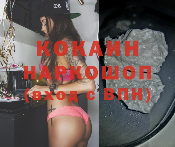 a pvp Новозыбков