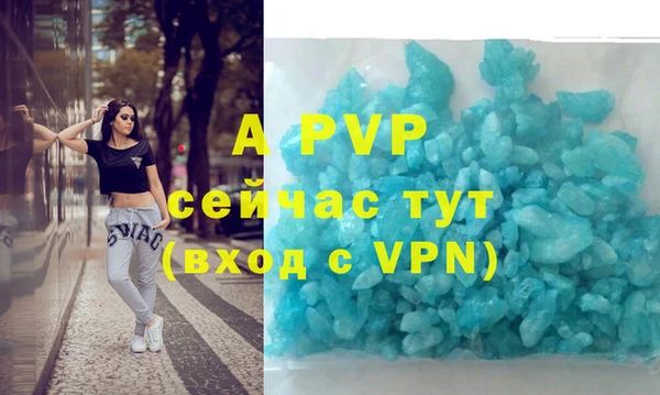 мяу мяу мука Гусь-Хрустальный