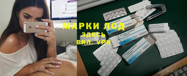 сатива Мегион