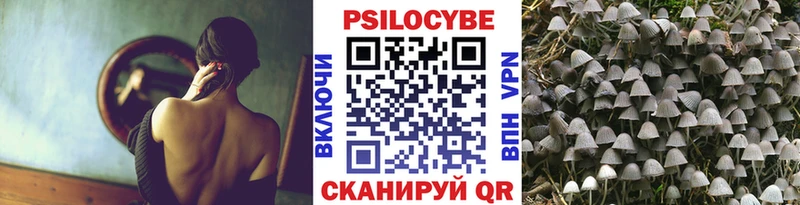 Псилоцибиновые грибы Psilocybine cubensis  Егорьевск 