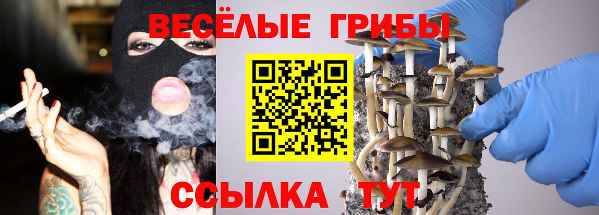 Егорьевск  Псилоцибиновые грибы прущие грибы  Галлюциногенные грибы Psilocybe  Вход с VPN 